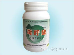 揭秘第181页 禽药领域的前沿创新与产品新趋势